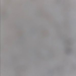 Meet your Posher, Draylon